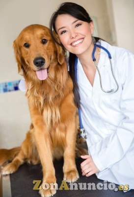 curso de Ayudante Técnico Veterinario